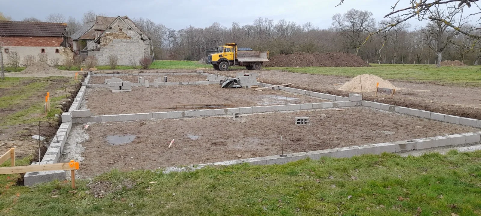 20230309 153206.jpg.jpeg