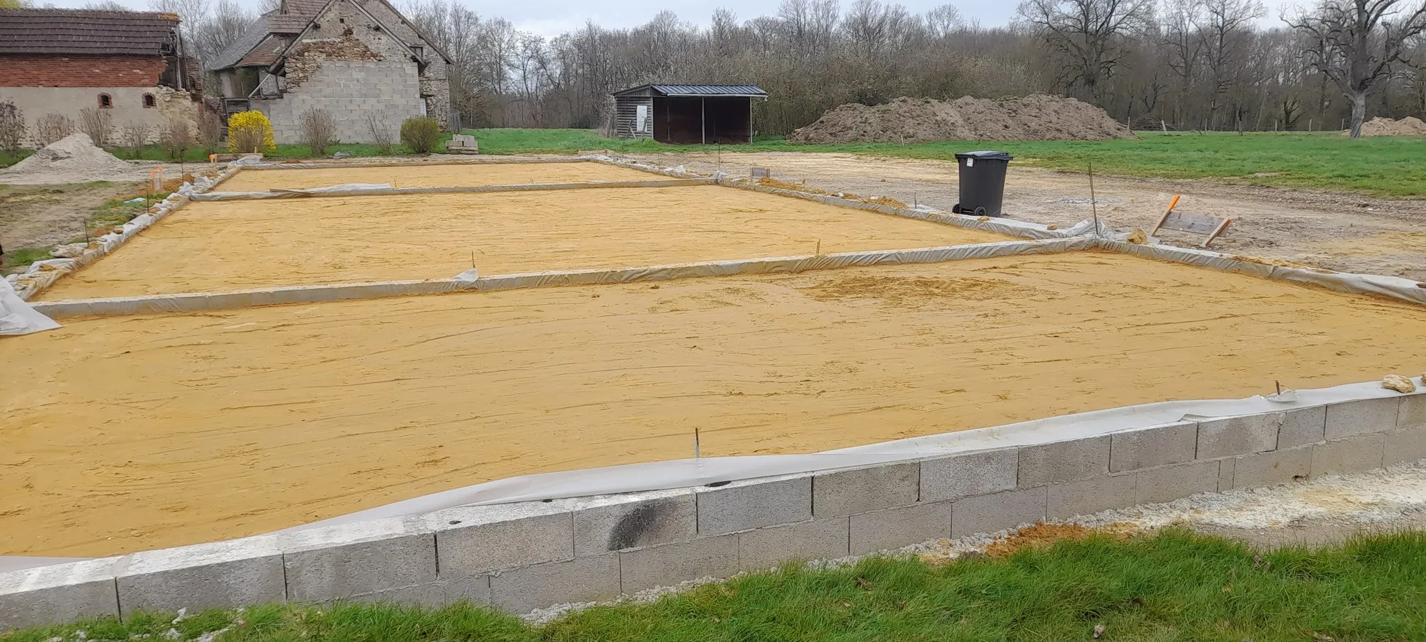 20230328 120610.jpg.jpeg