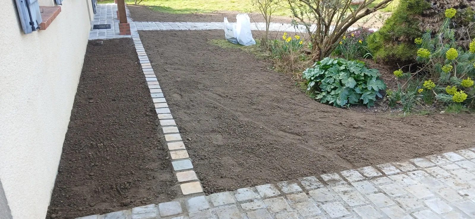 20250320 154657.jpg.jpeg