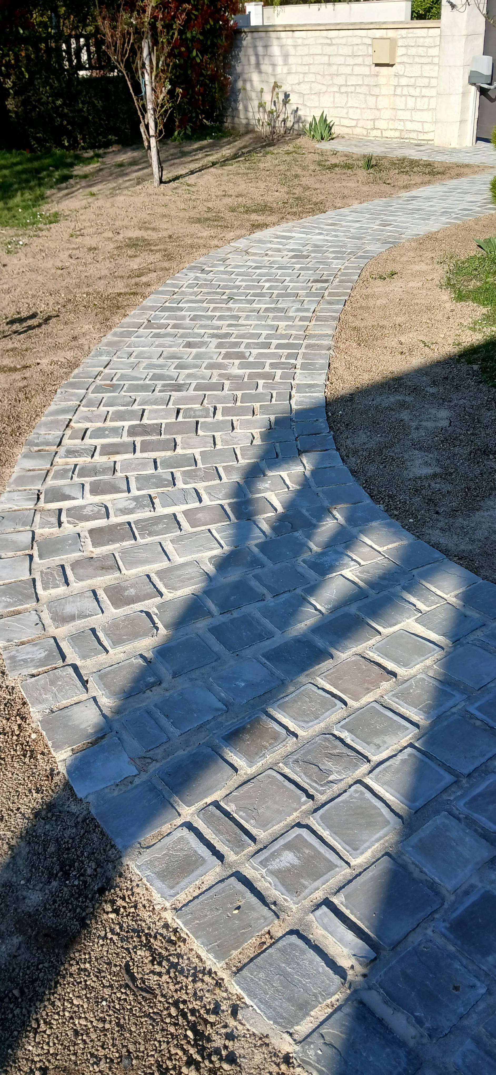 20250401 181153.jpg.jpeg